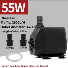 55W