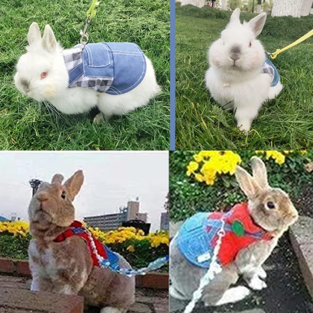 2 PCS Rabbit and Kitten Pet Harness - Small Breed Clothes for Bunny, Guinea Pig, Tiny Puppy & Hedgehog