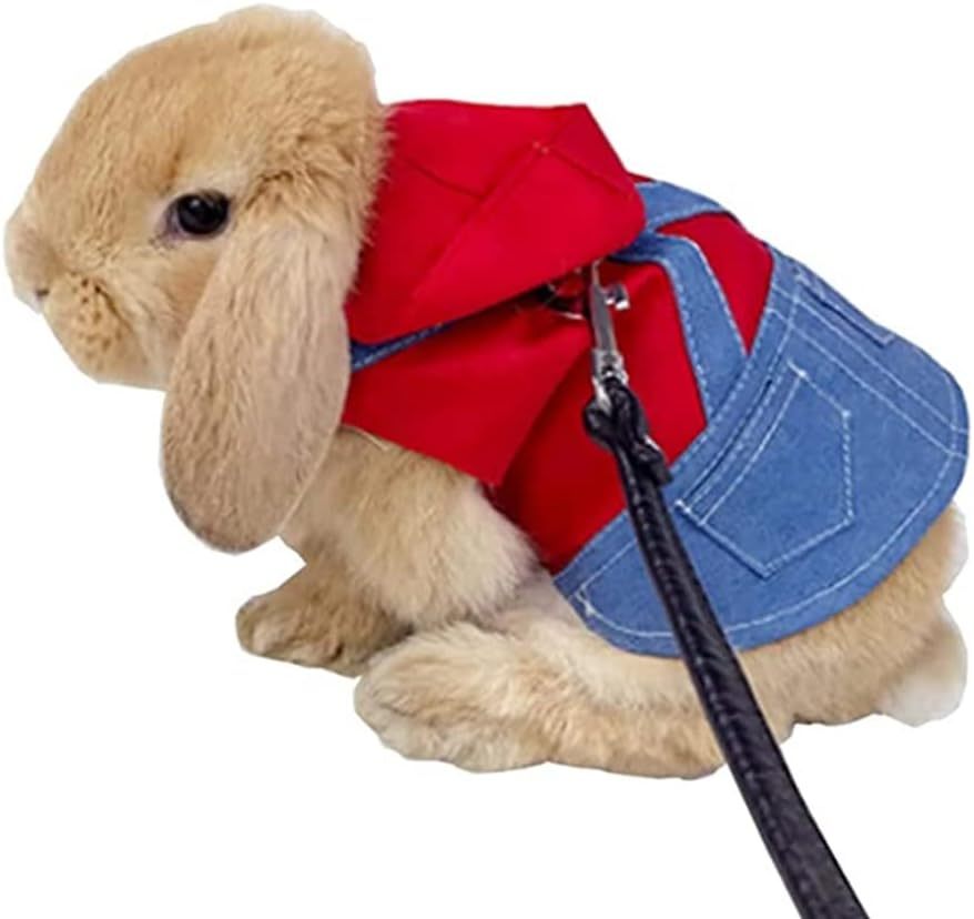 2 PCS Rabbit and Kitten Pet Harness - Small Breed Clothes for Bunny, Guinea Pig, Tiny Puppy & Hedgehog