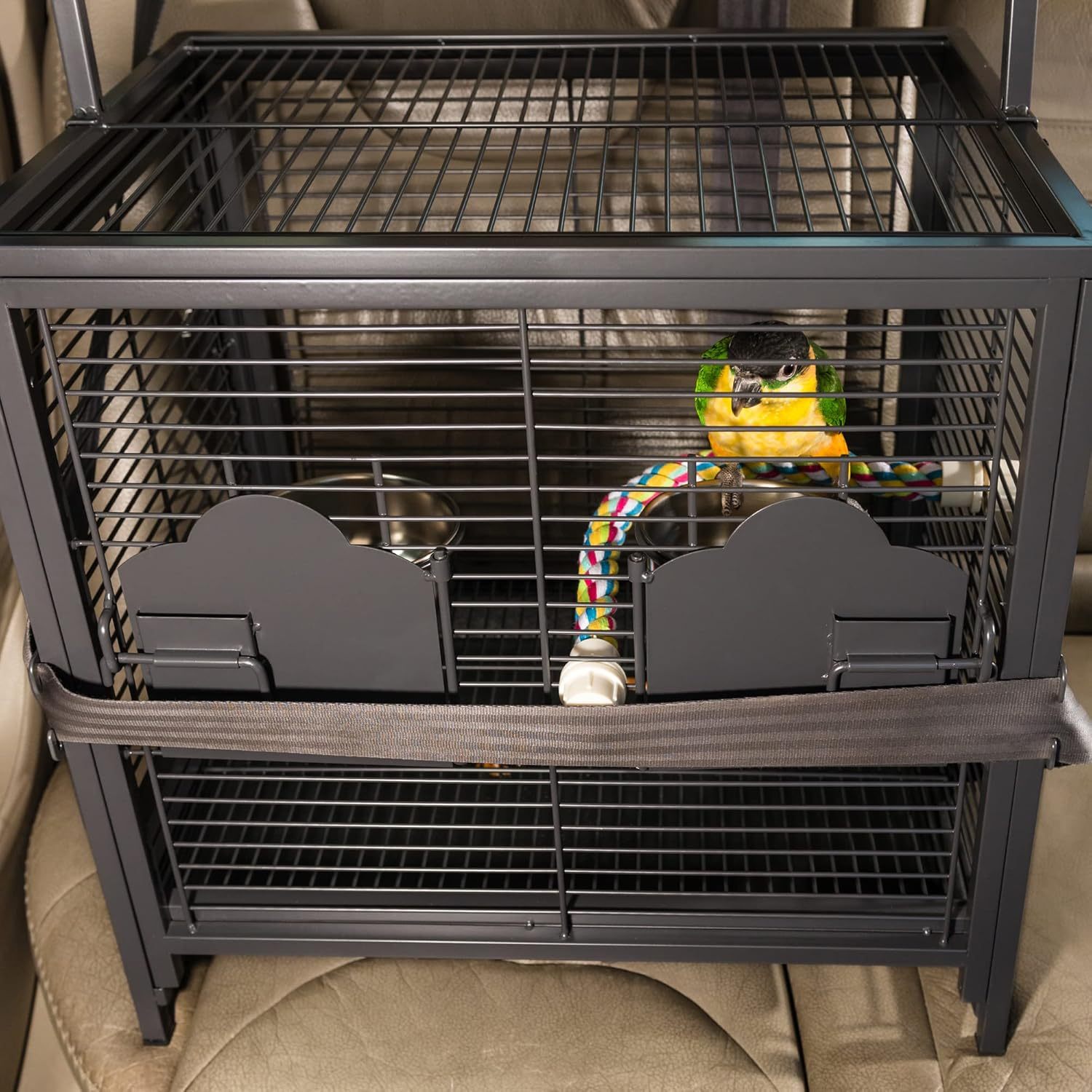 Prevue Pet Products Travel Carrier for Birds, Black 18.8"L x 14.9"W x 18.0"H
