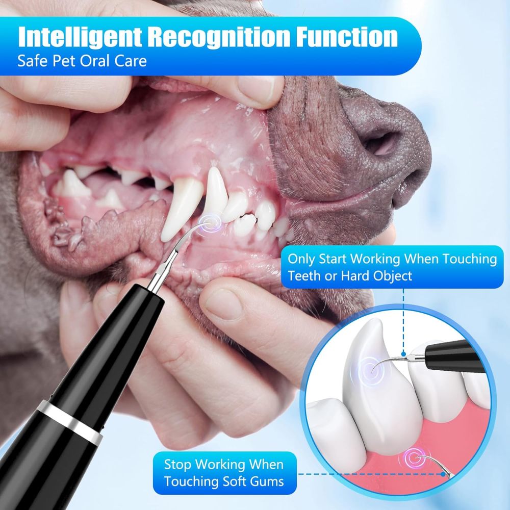 Dog Tartar Remover for Teeth, Dog Teeth Cleaning Kit with LED Light and 5 Modes for Dogs and Cats,Black