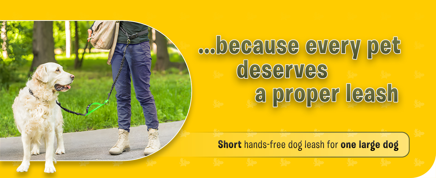 Pet Dreamland Hands Free Leash