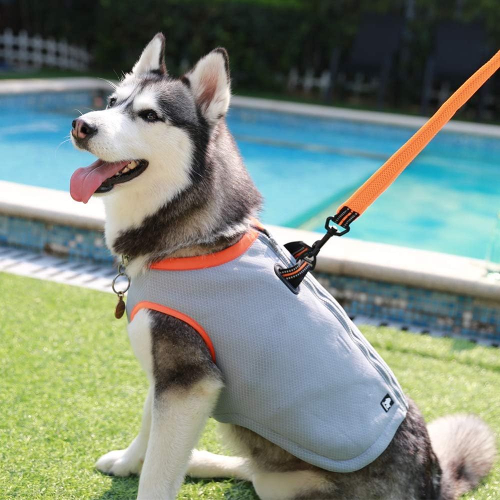 Truelove Dog Cooling Vest Dog Harness Cooler Jacket with Adjustable Zipper for Outdoor Hunting Training and Camping Green