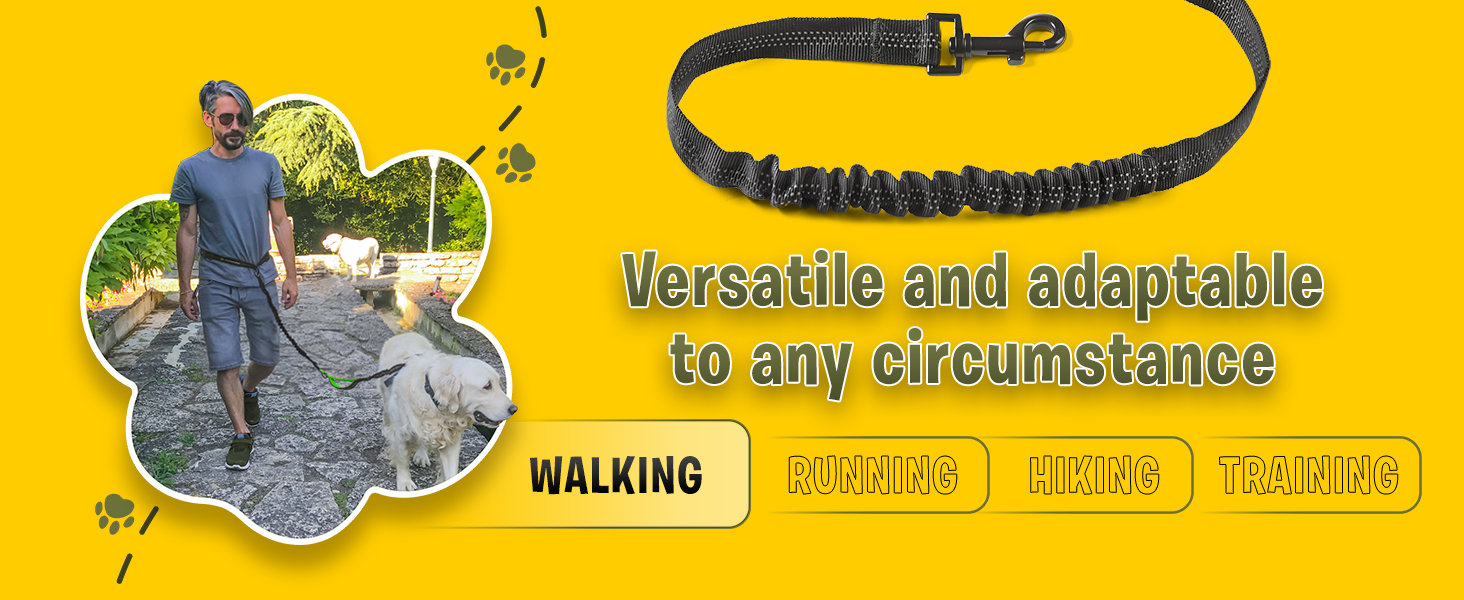  Pet Dreamland Hands Free Leash