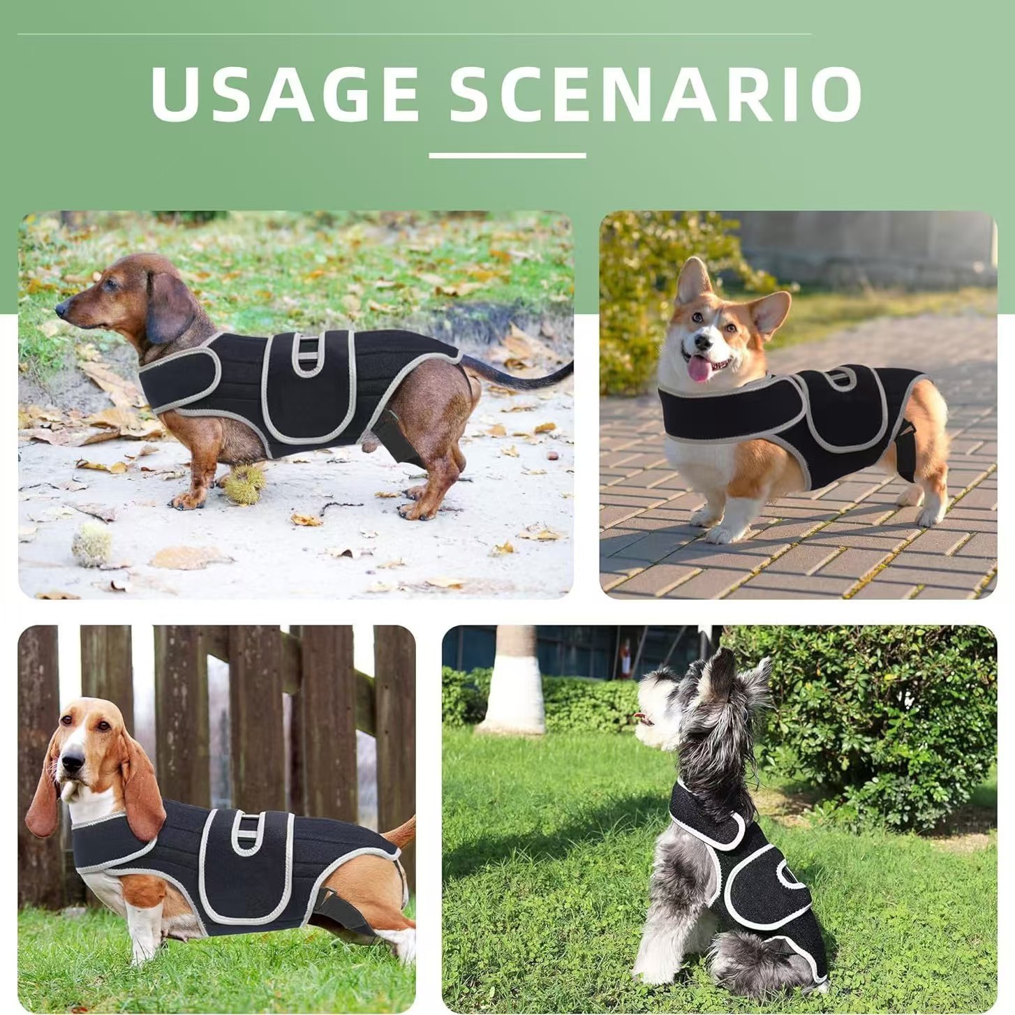 Dog Back Brace for Dogs with IVDD, Soft and Breathable Pet Back Bracer Arthritis for Shih Tzu, Dachshund Surgical Recovery and Rehabilitation, Reflective Chest Braces Helps Pain Relief (Small)