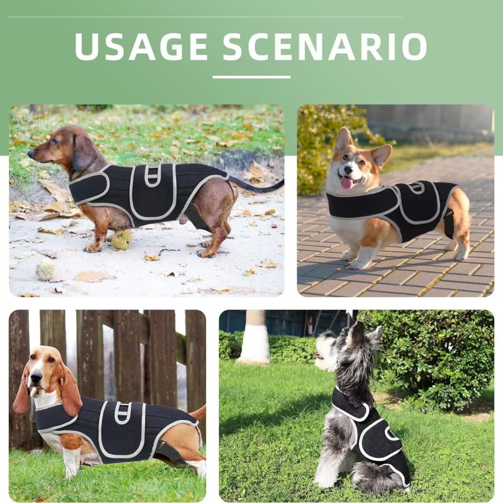 Dog Back Brace for Dogs with IVDD, Soft and Breathable Pet Back Bracer Arthritis for Shih Tzu, Dachshund Surgical Recovery and Rehabilitation, Reflective Chest Braces Helps Pain Relief (Small)