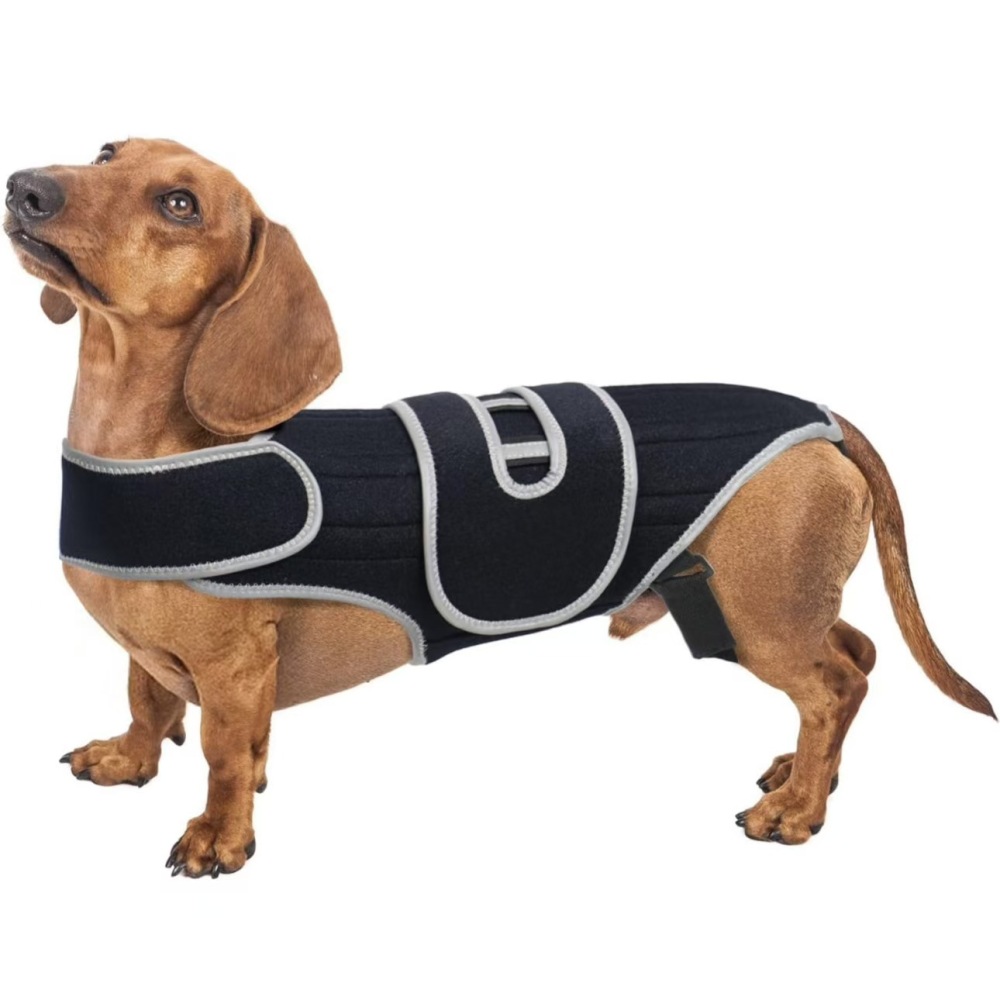 Dog Back Brace for Dogs with IVDD, Soft and Breathable Pet Back Bracer Arthritis for Shih Tzu, Dachshund Surgical Recovery and Rehabilitation, Reflective Chest Braces Helps Pain Relief (Small)
