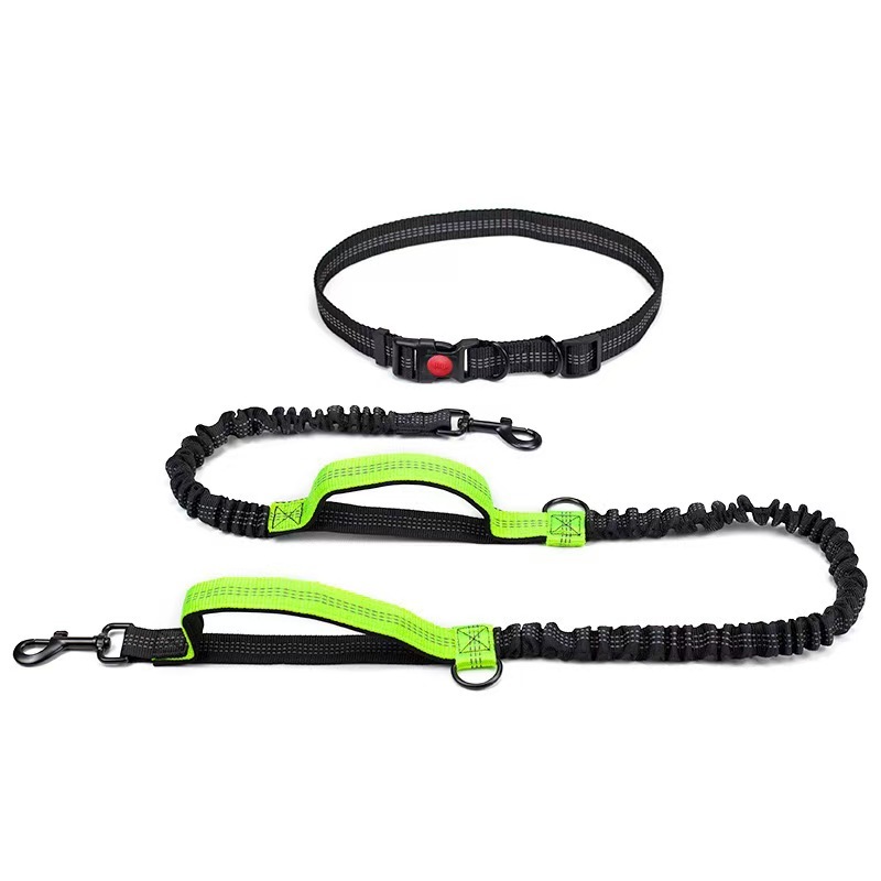 Exquisite Hands-Free Leash: Perfect for Active Pet Owners Comfortable, Durable & Ideal for Running, Walking, Hiking. Premium Large Dog Waist Leash with Bungee. Must-Have Dog Gear