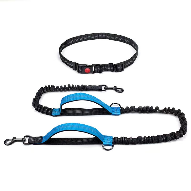 Exquisite Hands-Free Leash: Perfect for Active Pet Owners Comfortable, Durable & Ideal for Running, Walking, Hiking. Premium Large Dog Waist Leash with Bungee. Must-Have Dog Gear