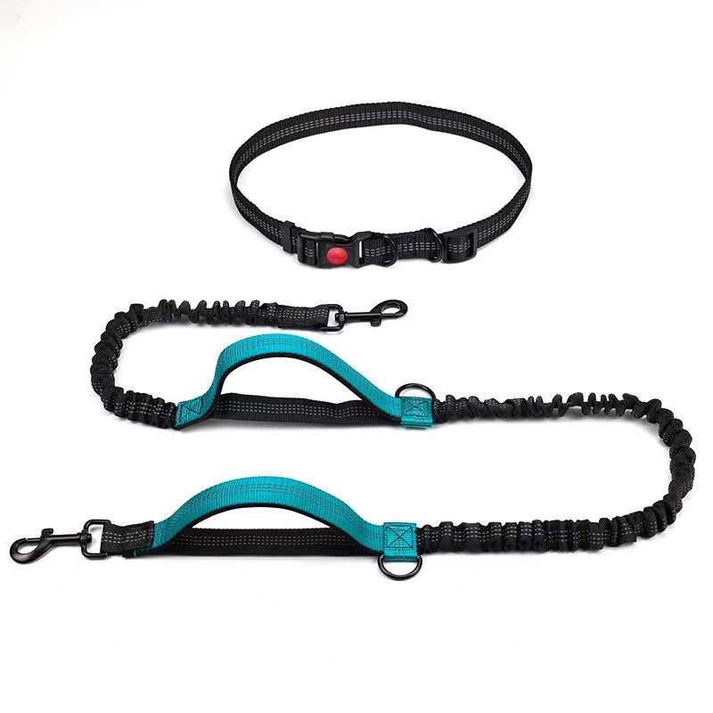 Exquisite Hands-Free Leash: Perfect for Active Pet Owners Comfortable, Durable & Ideal for Running, Walking, Hiking. Premium Large Dog Waist Leash with Bungee. Must-Have Dog Gear