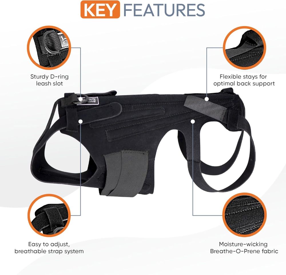 Dog Back Brace for IVDD - Orthopedic Support Back Brace for Dogs - Herniated & Slipped Disc, Pre & Post-Surgical Spinal Support - Made in USA