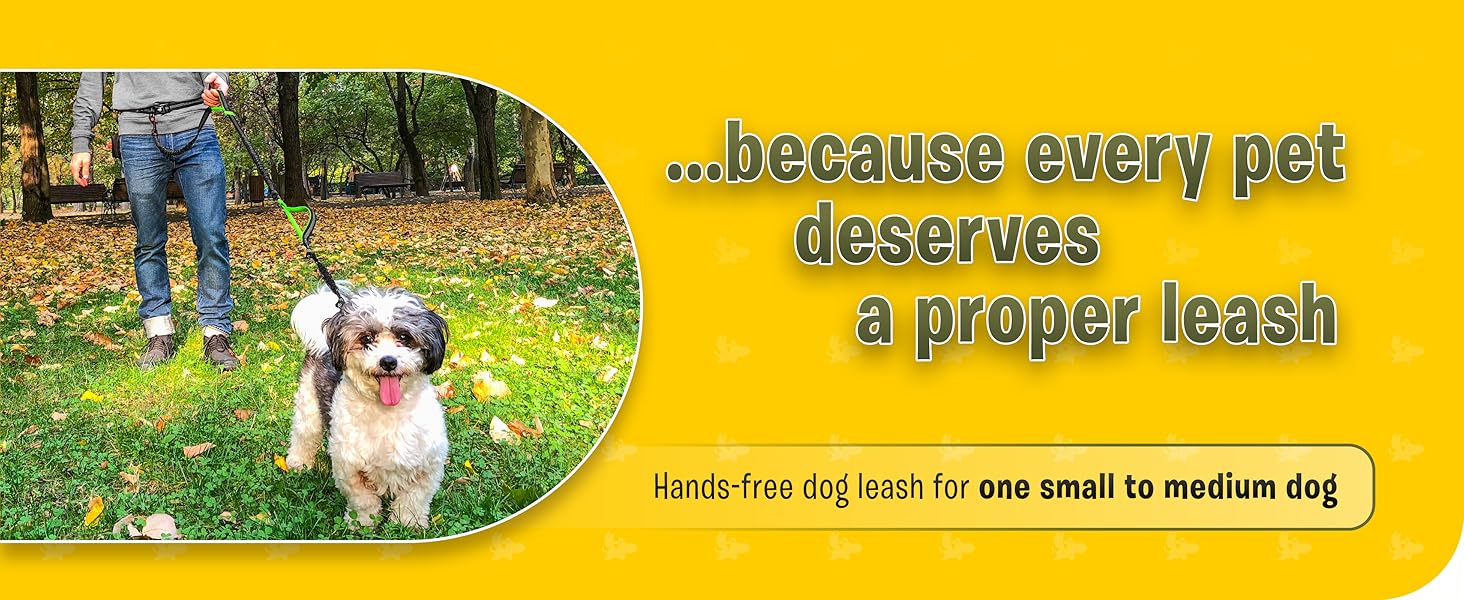 Pet Dreamland Hands Free Leash