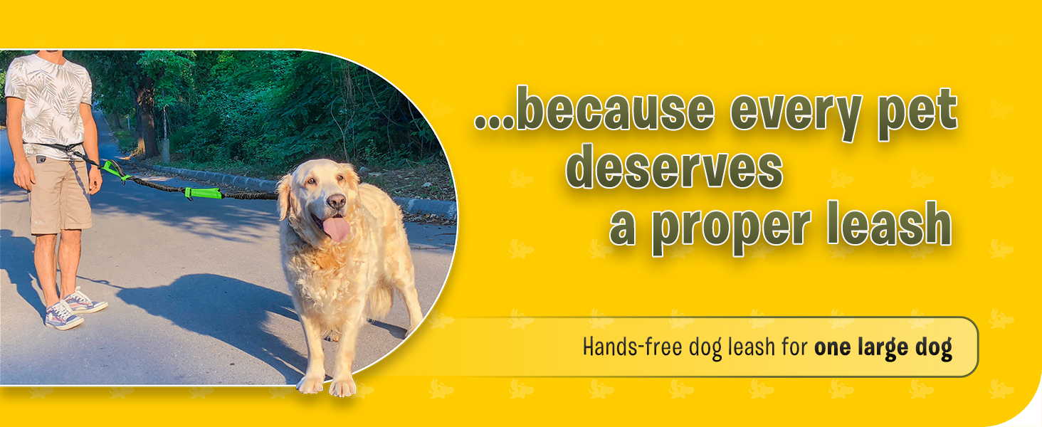 Pet Dreamland Hands Free Leash
