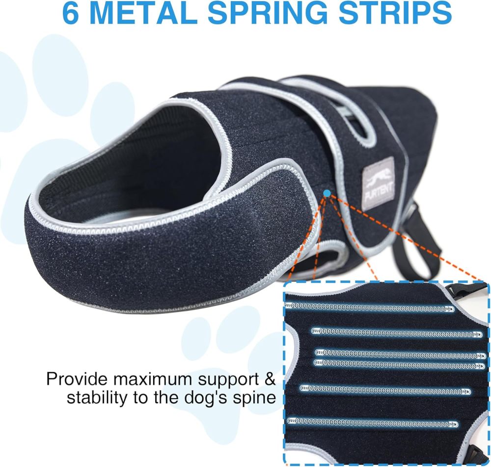 Dog Back Brace for Dogs with IVDD, Soft and Breathable Pet Back Bracer Arthritis for Shih Tzu, Dachshund Surgical Recovery and Rehabilitation, Reflective Chest Braces Helps Pain Relief (Small)