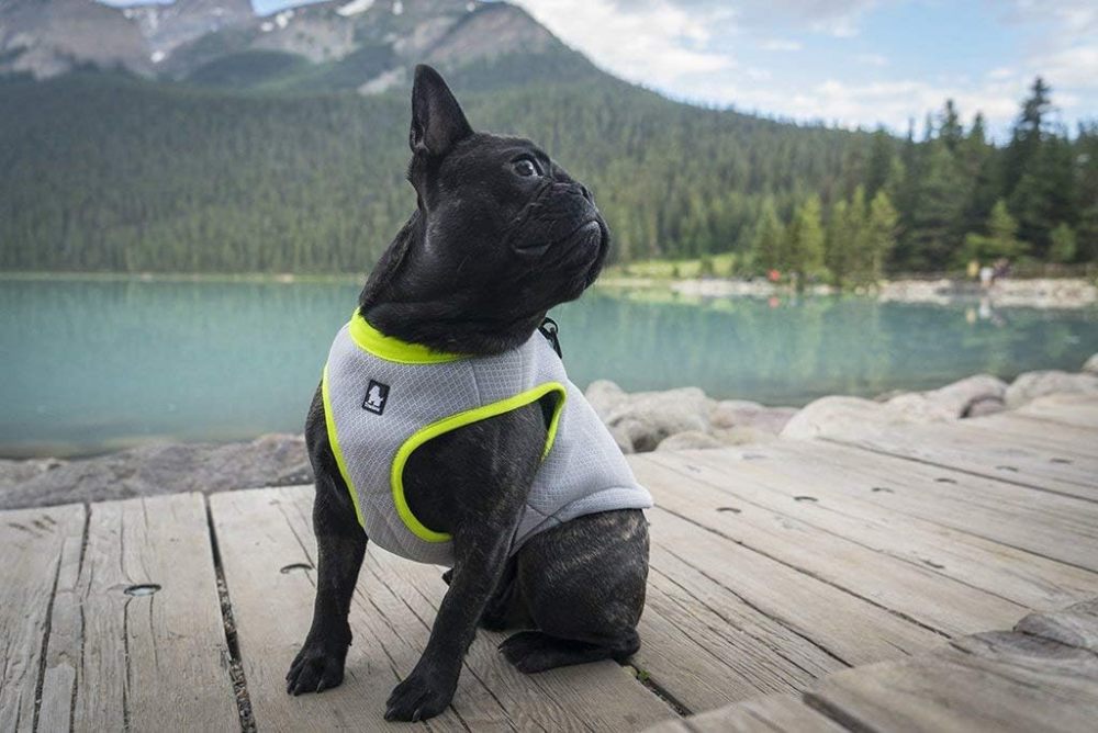 Truelove Dog Cooling Vest Dog Harness Cooler Jacket with Adjustable Zipper for Outdoor Hunting Training and Camping Green