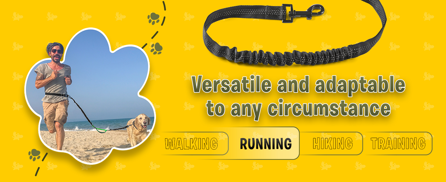  Pet Dreamland Hands Free Leash