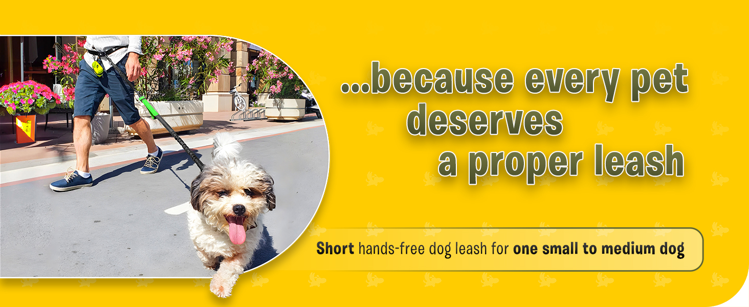 Pet Dreamland Hands Free Leash