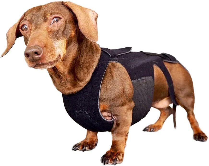 Dog Back Brace for IVDD - Orthopedic Support Back Brace for Dogs - Herniated & Slipped Disc, Pre & Post-Surgical Spinal Support - Made in USA