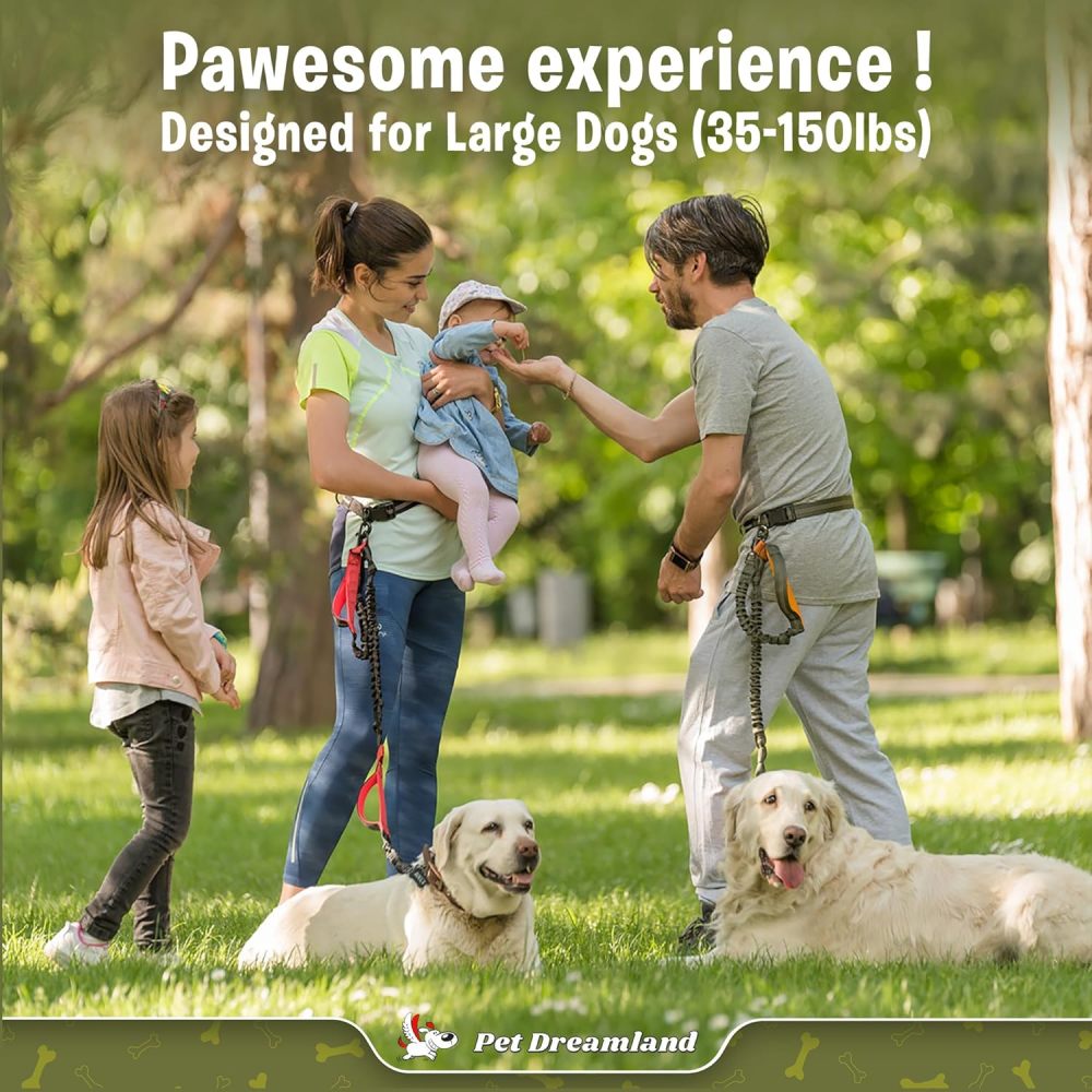 Exquisite Hands-Free Leash: Perfect for Active Pet Owners Comfortable, Durable & Ideal for Running, Walking, Hiking. Premium Large Dog Waist Leash with Bungee. Must-Have Dog Gear