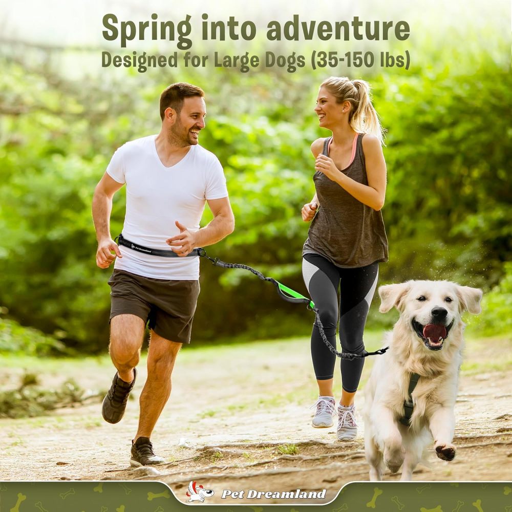 Exquisite Hands-Free Leash: Perfect for Active Pet Owners Comfortable, Durable & Ideal for Running, Walking, Hiking. Premium Large Dog Waist Leash with Bungee. Must-Have Dog Gear