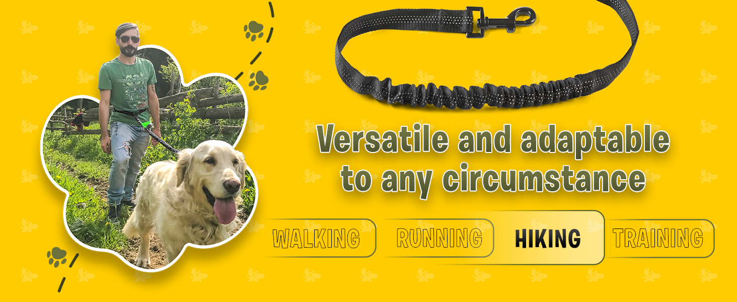  Pet Dreamland Hands Free Leash