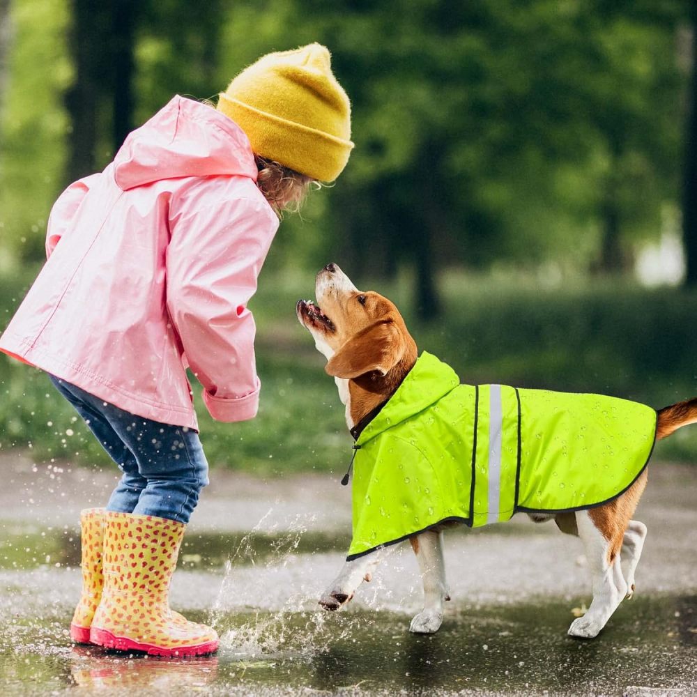 Dog Raincoat - Reflective Waterproof Dog Rain Jacket Lightweight Rain Coat for Small Medium Large Dogs (Medium, Green)