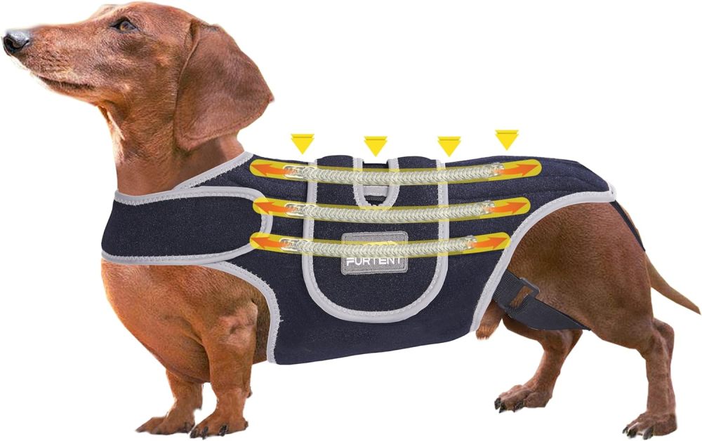 Dog Back Brace for Dogs with IVDD, Soft and Breathable Pet Back Bracer Arthritis for Shih Tzu, Dachshund Surgical Recovery and Rehabilitation, Reflective Chest Braces Helps Pain Relief (Small)