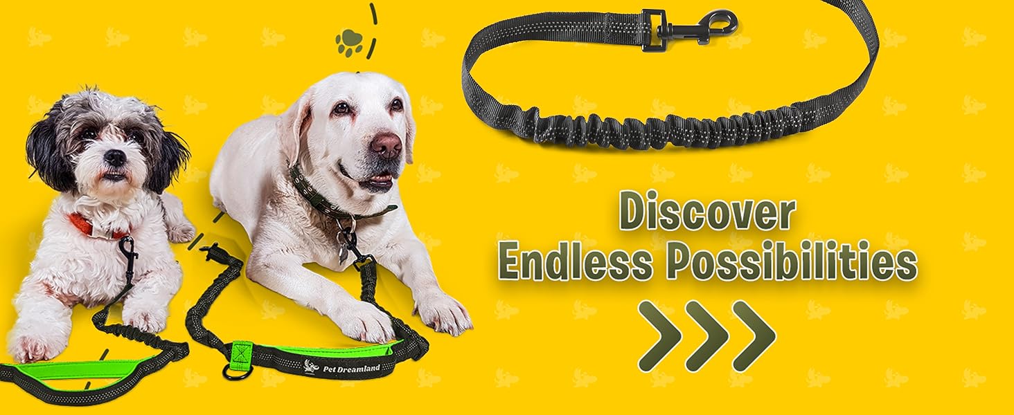  Pet Dreamland Hands Free Leash