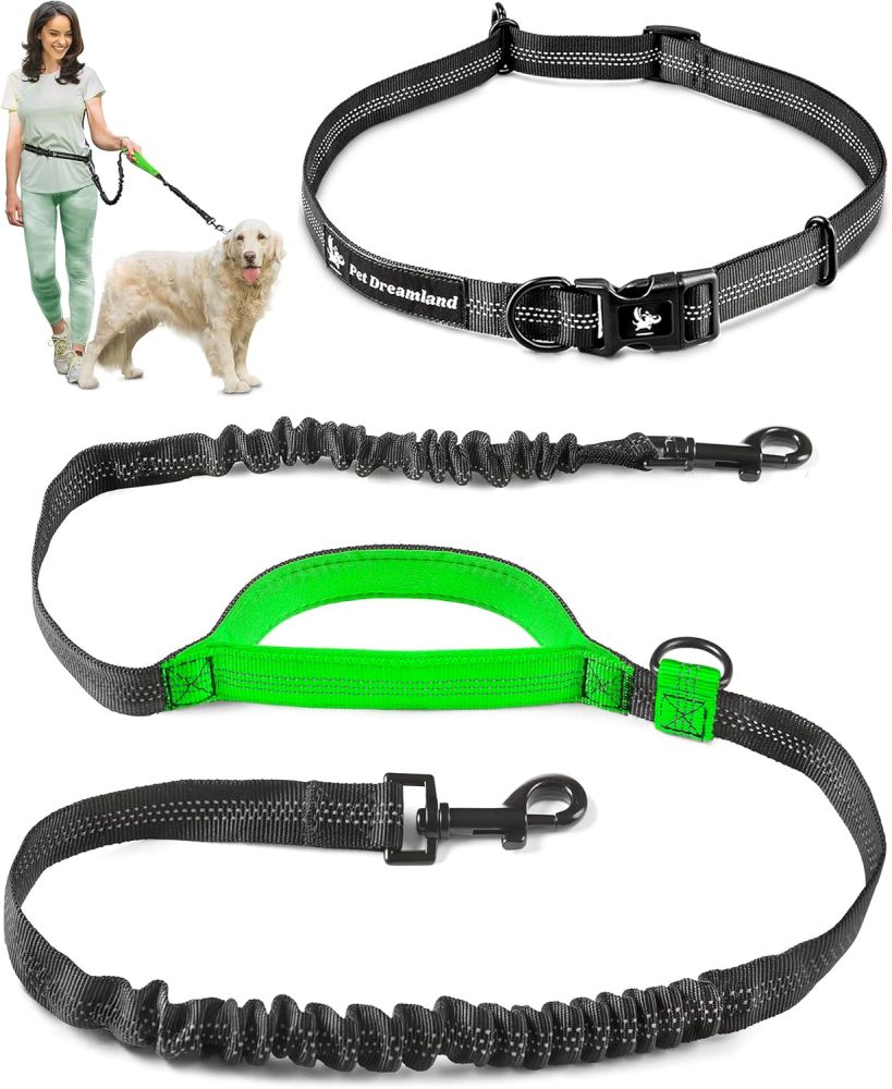Exquisite Hands-Free Leash: Perfect for Active Pet Owners Comfortable, Durable & Ideal for Running, Walking, Hiking. Premium Large Dog Waist Leash with Bungee. Must-Have Dog Gear