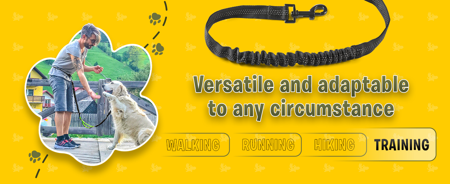  Pet Dreamland Hands Free Leash