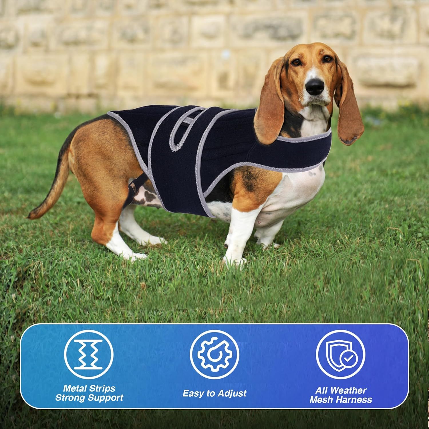 Dog Back Brace for Dogs with IVDD, Soft and Breathable Pet Back Bracer Arthritis for Shih Tzu, Dachshund Surgical Recovery and Rehabilitation, Reflective Chest Braces Helps Pain Relief (Small)