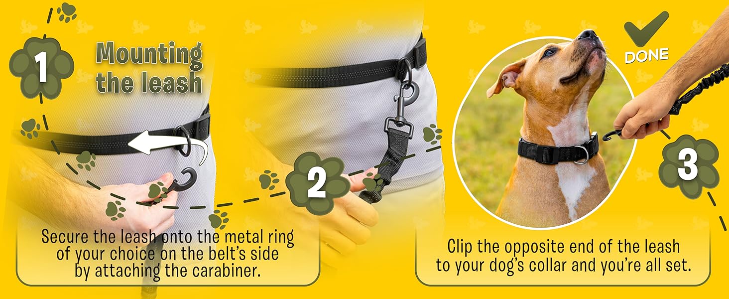 Pet Dreamland Hands Free Leash