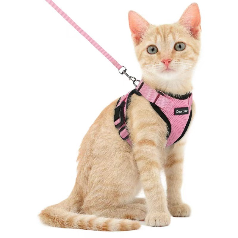 Mr. Peanut's PurrTrek Reflective Cat Harness with Matching Leash (Extra Small, Blue)