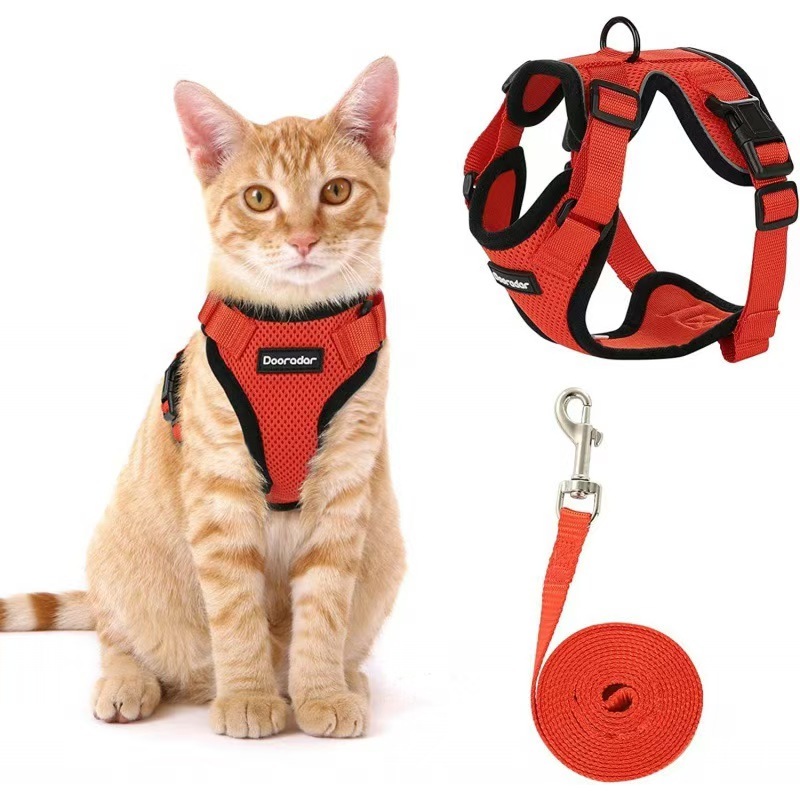 Mr. Peanut's PurrTrek Reflective Cat Harness with Matching Leash (Extra Small, Blue)