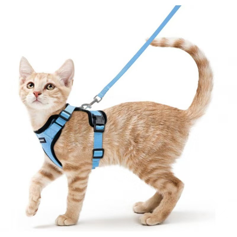 Mr. Peanut's PurrTrek Reflective Cat Harness with Matching Leash (Extra Small, Blue)