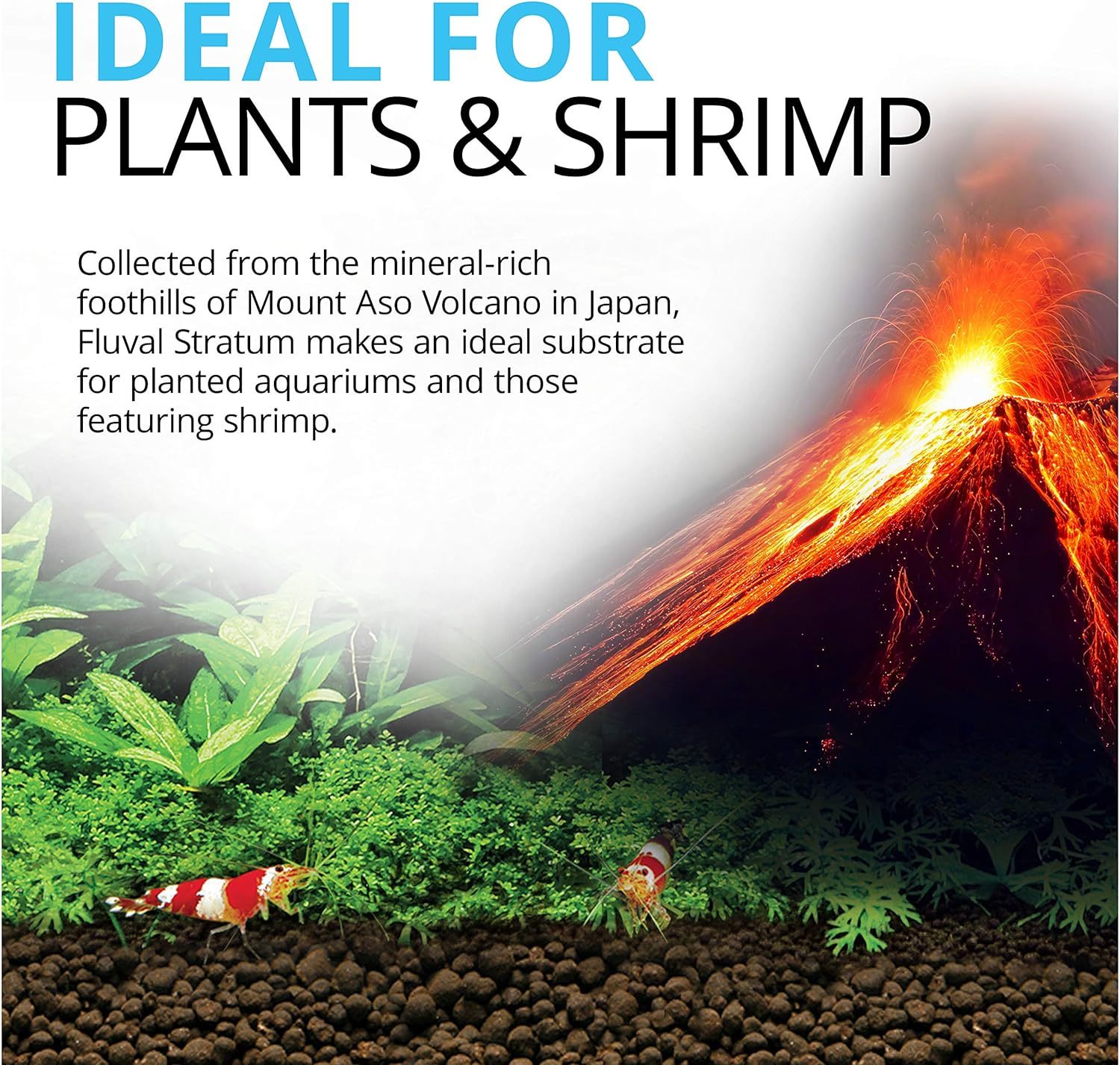 Fluval 12693 Plant and Shrimp Stratum for Freshwater Fish Tanks, 4.4 lbs. – Aquarium Substrate for Strong Plant Growth, Supports Neutral to Slightly Acidic pH