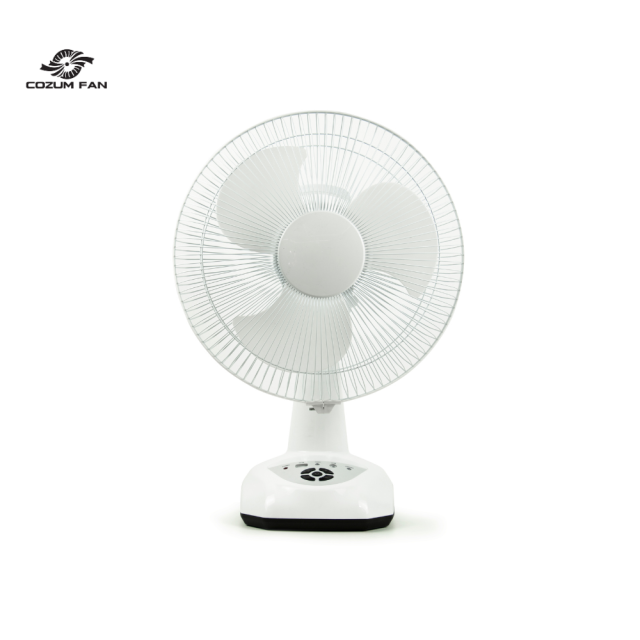 Cozum Fan Rechargeable Lead-acid Batteries Fan (12 inch)