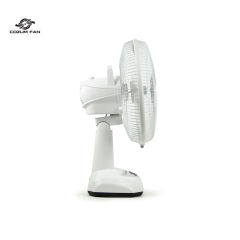 Cozum Fan Rechargeable Lead-acid Batteries Fan (12 inch)