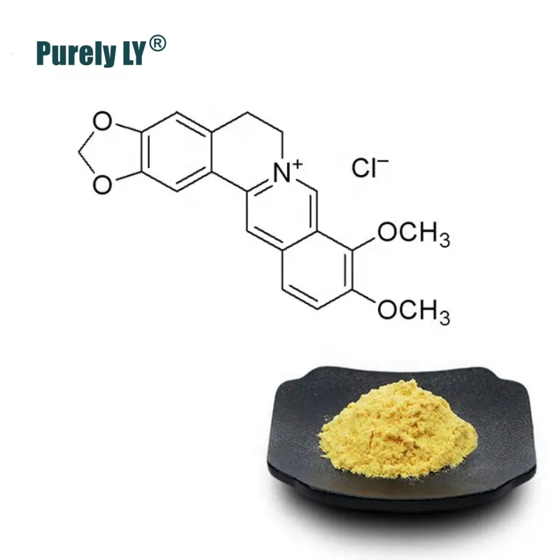 Berberine HCL 98% Supplement  - Tested Ultra High Purity Premium Berberine Extract Powder To Support Overall Health, Supports Heart Health, Immune System, Healthy GI, Healthy Cholesterol,Coptis Chinensis