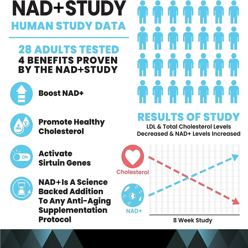 Food Grade NAD+ Booster Powder Supplement for Anti Aging and Cell Regeneration,Supports Cellular Energy, Brain, Muscle ,Longevity Support | Nicotinamide Adenine Dinucleotide