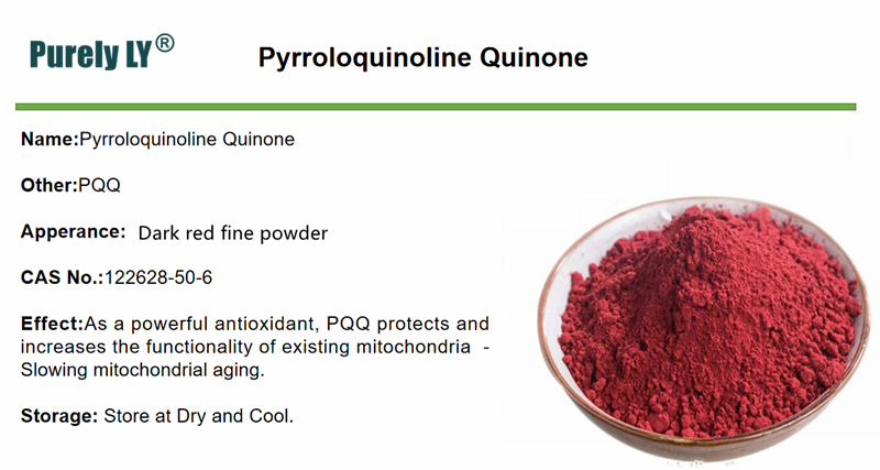 99% PQQ Pyrroloquinoline Quineone Powder,CAS 122628-50-6,Brain Supplements for Memory and Focus - Mitochondria Supplement ,Cognitive and Heart Support