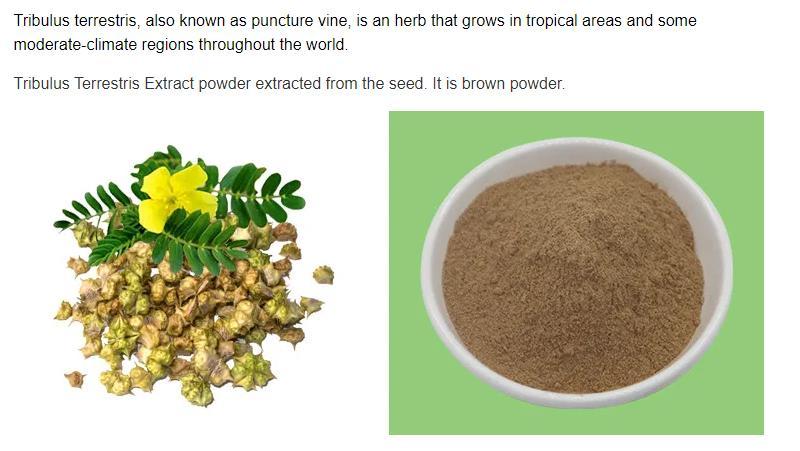 100% Tribulus Terrestris Extract Powder 50:1- Vitality booster for both men and women,support energy, stamina, strength, and endurance,Support male vitality and kidney health