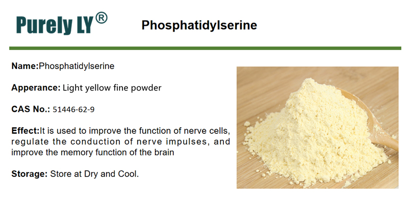 Non-GMO Phosphatidylserine Supplement Powder | PS Nootropic Brain Supplement for Mental Alertness, Memory, Focus & Concentration, Cognivive, Neurofactor
