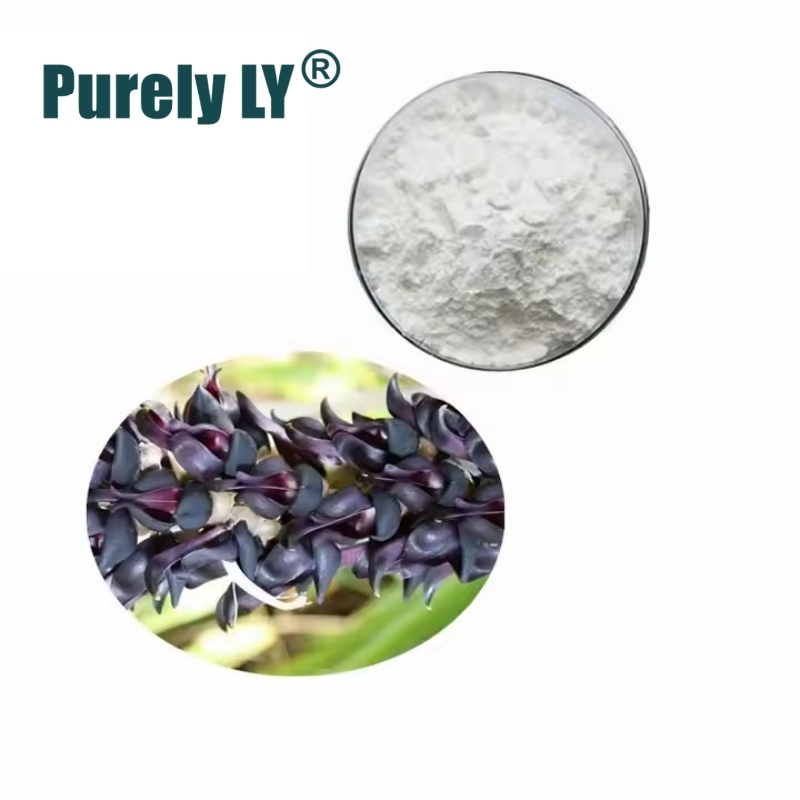 100% Mucuna pruriens Extract Powder 30:1, Dopamine Boosting Supplement 20% L-Dopa from Velvet Bean for Mood and Motivation Support