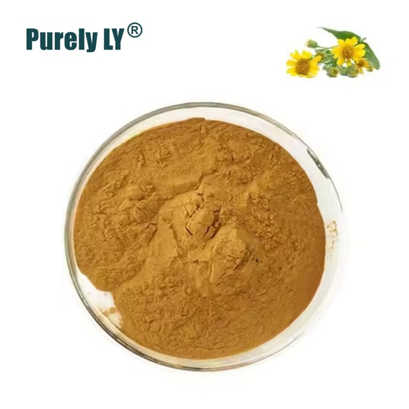 100% Arnica Montana Extract Powder 30:1,Help Relief Bruising & Muscle Soreness