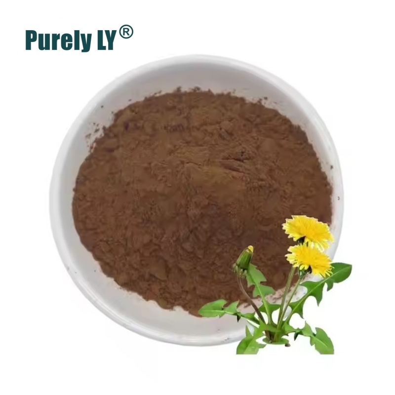 100% Dandelion Root Extract Powder 30:1,Dandelion Root Supplement for Tea | Herbal Extract for Digestion & Immune Support  Health liver support