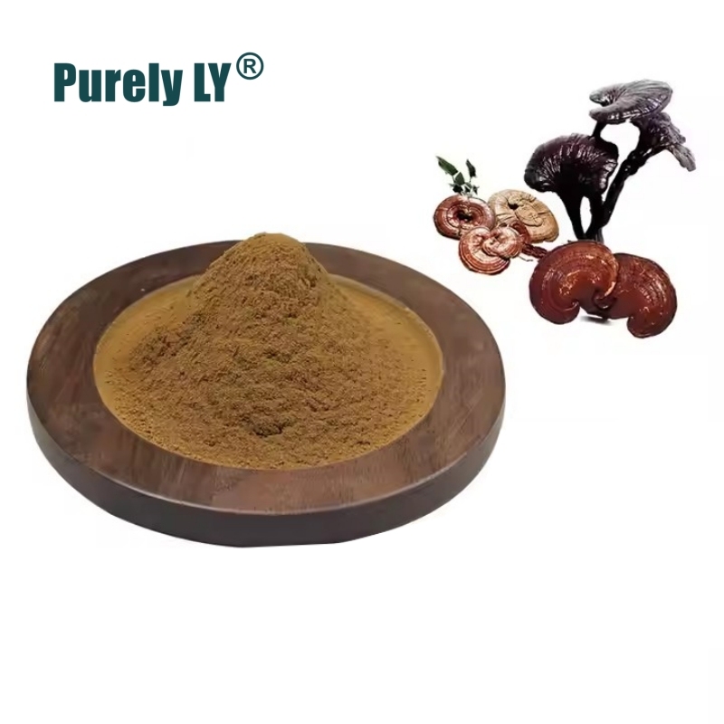 50g-1000g Natural Red Reishi Mushroom Extract Powder,Anti Cancer,Potent Ganoderma Lucidum Mushroom Supplement for Immune System Support and Defense