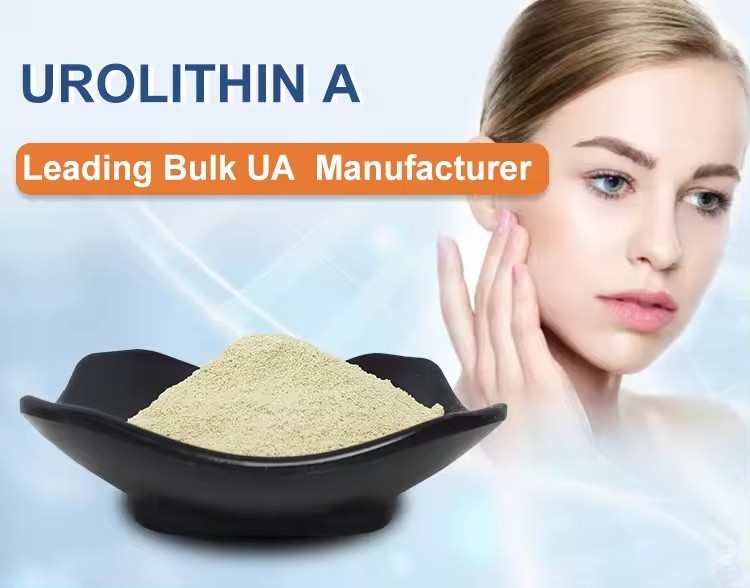 100% Urolithin A  Powder | Food grade Uro-A | CAS 1143-70-0 | Clinically Proven Supplement for Healthy Aging and Cellular Renewal - Mitoceutical for Muscle Strength and Longevity