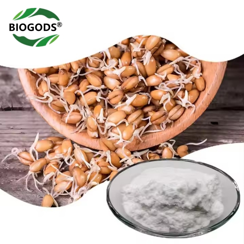 100% Spermidine 3HCJL Powder for Support Cognitive Function,Anti-Aging DNA Telomere,Cellular Health & Longevity,Over 100x More Potent Than Wheat Germ Extract