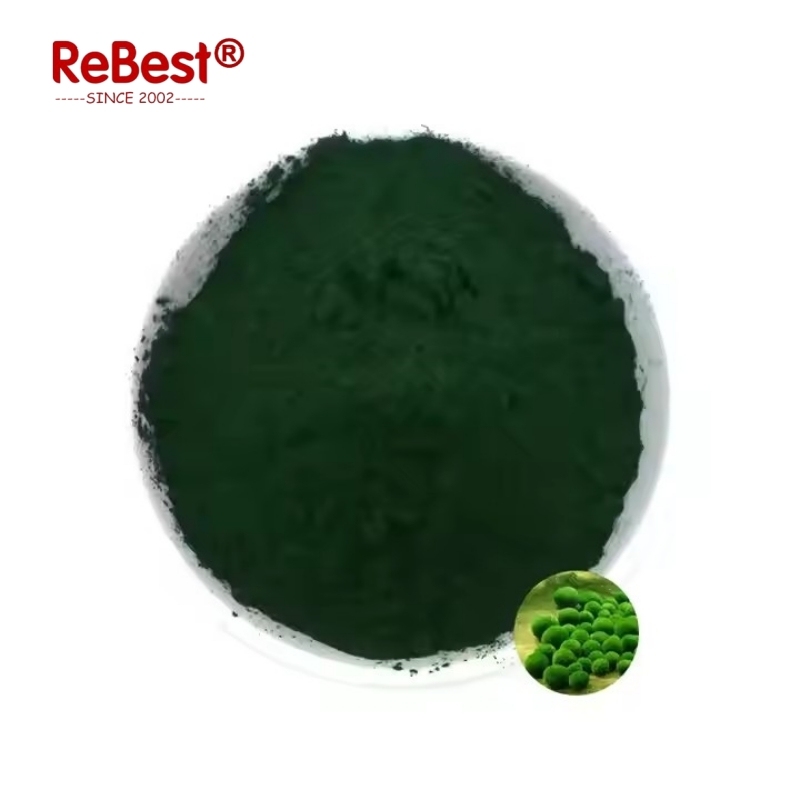 100% Natrual Chlorella Spirulina Extract Powder,Rich in Vegan Protein & Chlorophyll,Supports Energy, Colon Health, Digestive Function and Immune System